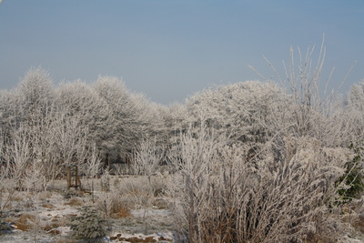 Weiße Winter-Landschaft
