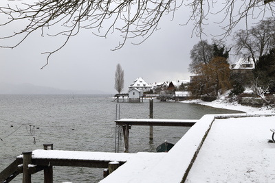 Winter am See 50