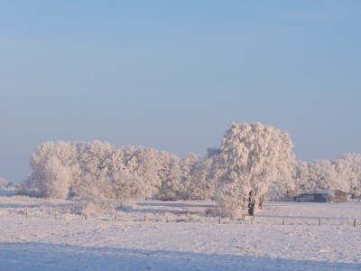 ein bilderbuch wintermorgen 3