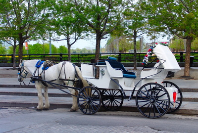 Pferdekutsche , Old Montreal