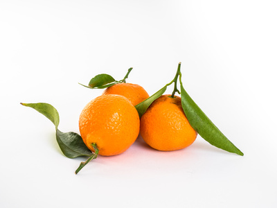 Mandarinen 6