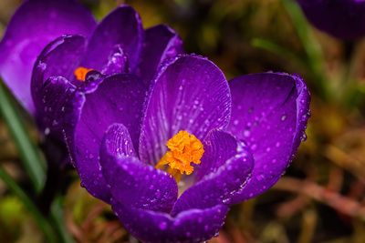 Auch im Regen schön Auch im Regen schön