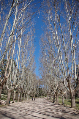 Parco del Oeste