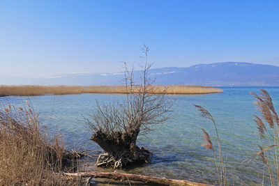 Am Lac de Neuchâtel