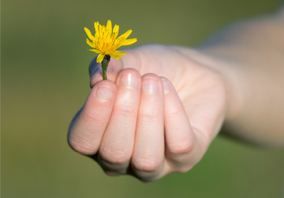 Dankeschön  lass' Blumen sprechen