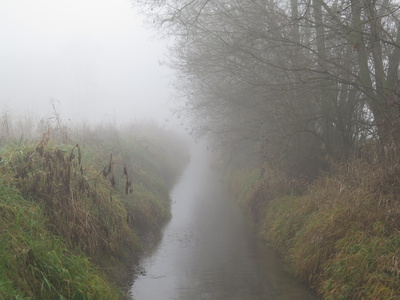 Fluss im Nebel