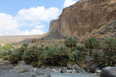 Oman - In einem Wadi