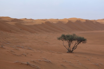 Oman - Dünen