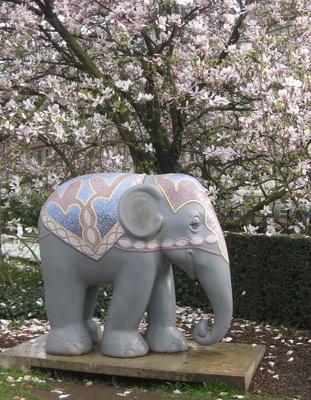 Elefant unter dem Magnolienbaum
