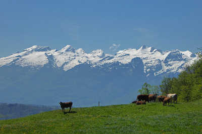 Sicht in die Bündner Alpenwelt