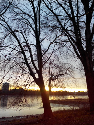 Köln am Rhein 04.01.2016