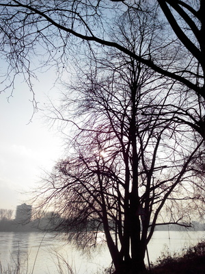 Köln am Rhein 19.02.2016