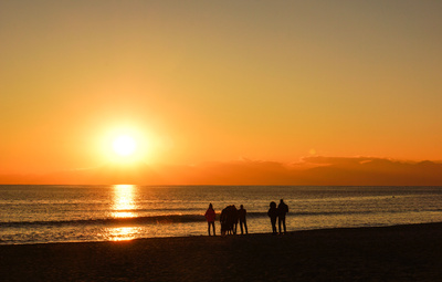 Strandläufer beim Sonnenuntergang