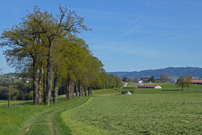 Fribourger Landschaft (Schweiz)