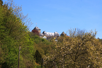 Blick auf Schloss im grünen