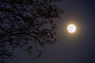 Helle Nacht Helle Nacht