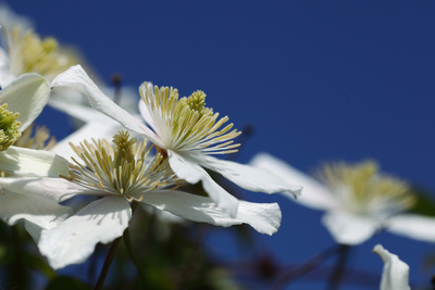 Ein Platz an der Sonne