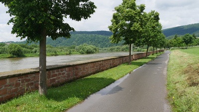 Main-Radweg