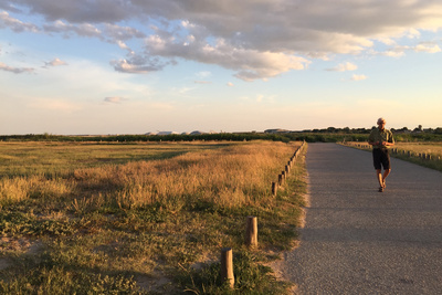 Abend in der Camargue