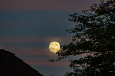 Guter Mond.... Guter Mond....