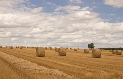 Getreidefelder nach der Ernte