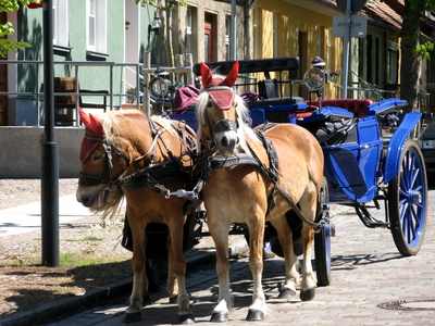 Pferdekutsche in Rheinsberg