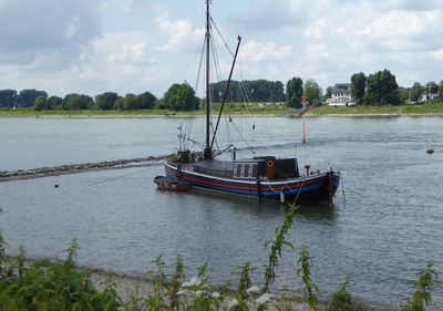 Aalschokker auf dem Rhein