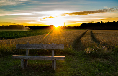 Plätzchen am Feld Plätzchen am Feld