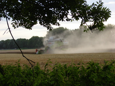 Mähdrescher im Kornfeld