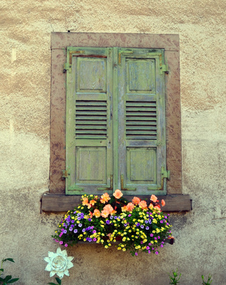 Alter Fensterladen mit Blumendeko