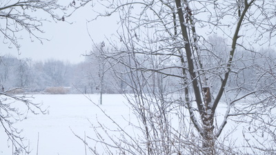 Winterlandschaft in Pankow