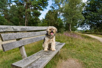 Ich mach' jetzt Pause Ich mach' jetzt Pause