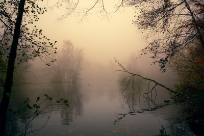 Erster Morgennebel Erster Morgennebel