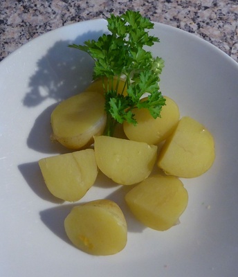 Kartoffelernte
