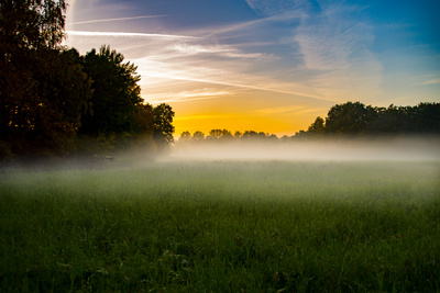Wenn der Nebel.... Wenn der Nebel....