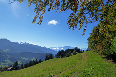 Herbst im Schweizer Waadtland
