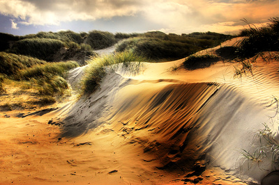 denmark dune