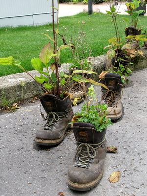 Schuhe mit Pflanzen auf Reisen