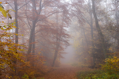 Typisch Herbst Typisch Herbst