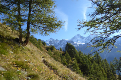 Auf dem Topali-Hüttenweg