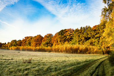 Herbstmorgen Herbstmorgen