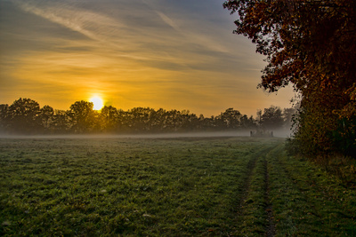 Kampf der Sonne Kampf der Sonne