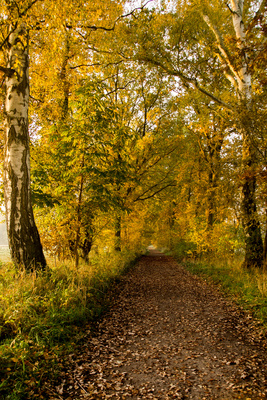 Herbstspaziergang Herbstspaziergang