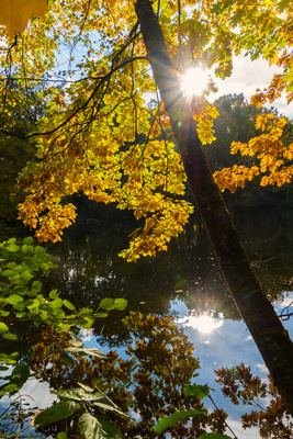 Sonnenspiegelung Sonnenspiegelung