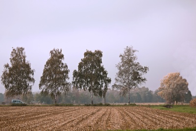 ein trüber Herbsttag