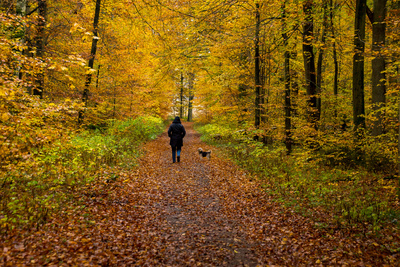 Herbstlich auch ohne Sonne Herbstlich auch ohne Sonne