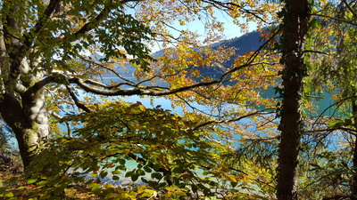 Herbststimmung am Walchensee