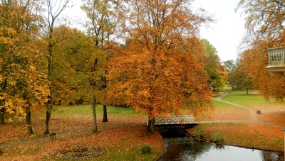 Goldener Herbst im Evenburgpark