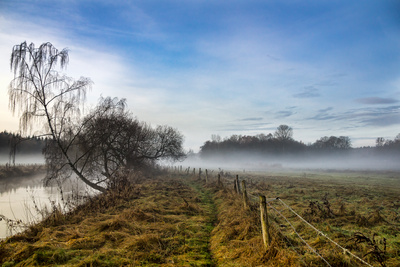 Novembermorgen Novembermorgen