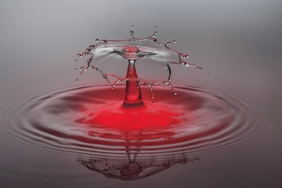 Wassertropfen Tropfen Fotografie Red Splash